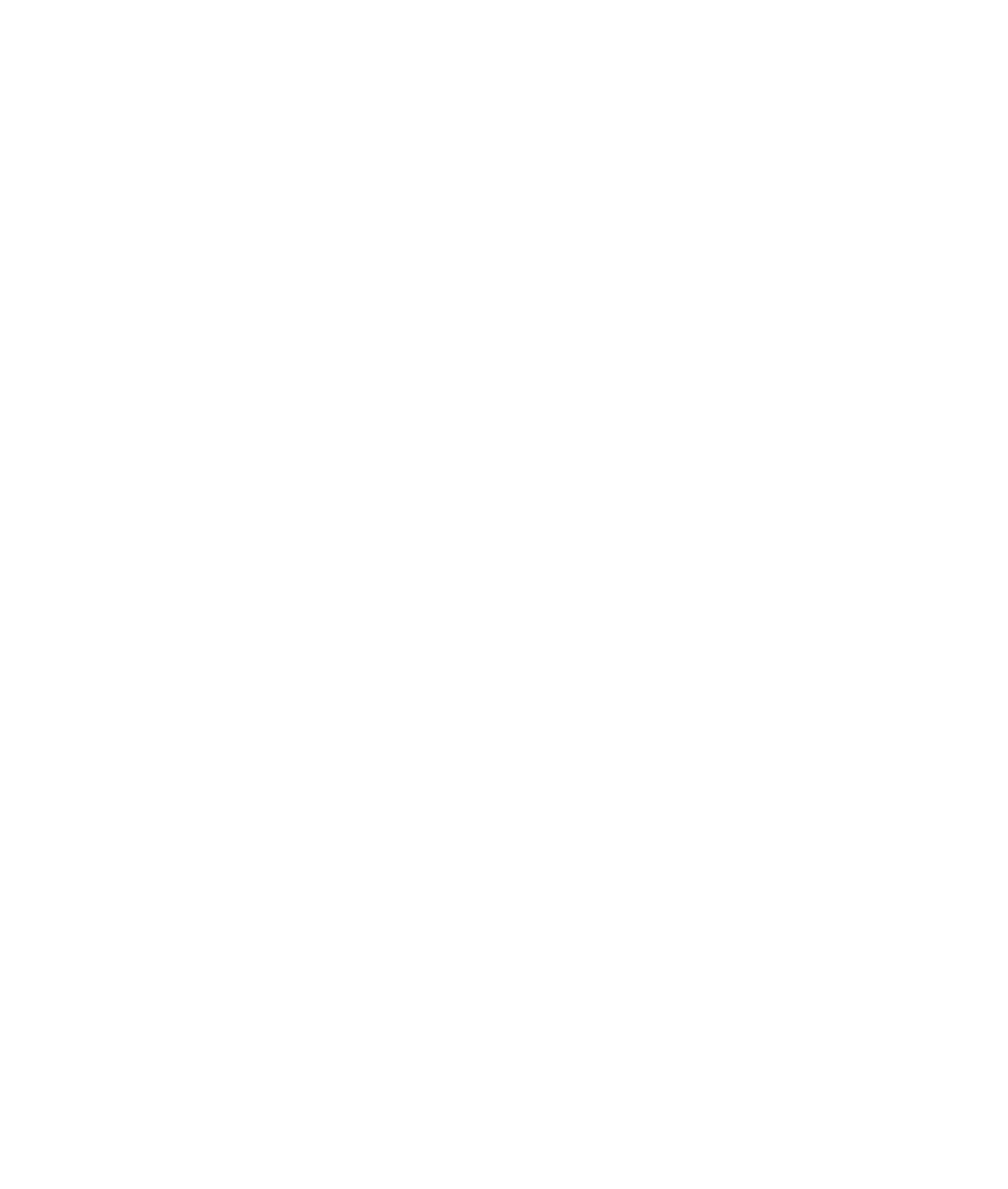 Adelaide FC Logo white